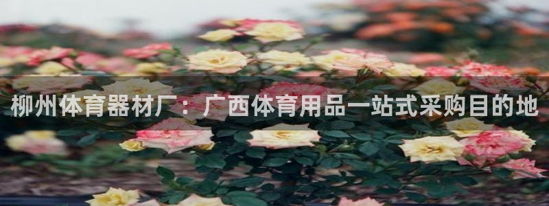 尊龙凯时网站首页手机登录