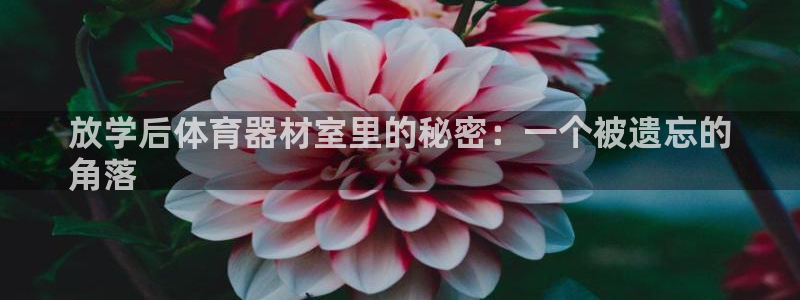 d88尊龙官网登录免费下载