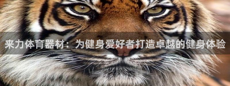 尊龙凯时贴吧
