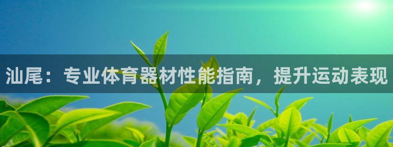 尊龙官网