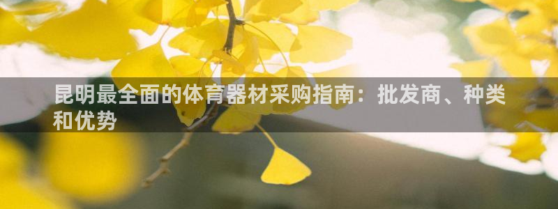 凯时AG网