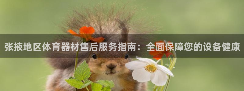 尊龙凯时输了100万