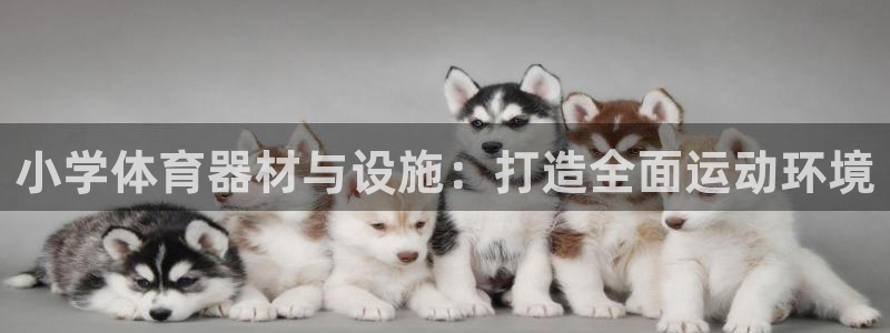 尊龙人生就是博菲律宾台子