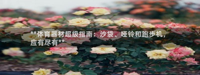 尊龙凯时法拉币