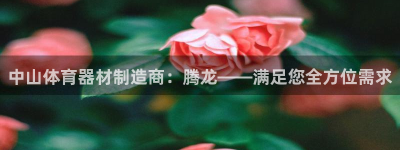 尊龙凯时人生就是搏技术实力