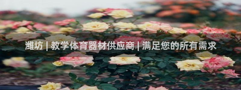 尊龙官网网页版