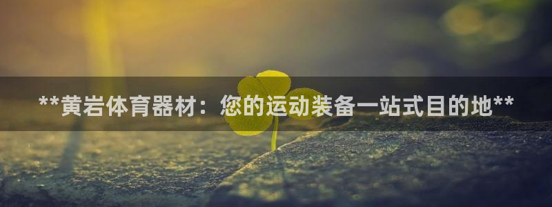 z6com尊龙凯时代理