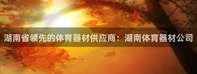 尊龙凯时代理能提出来不