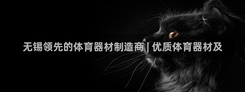 尊龙人生就是博手机版下载