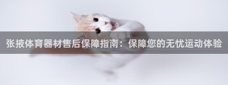 尊龙网址苹果版下载