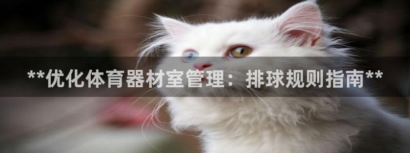 尊龙凯时人生就是博游戏网站