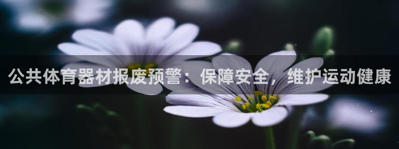 尊龙官方网址