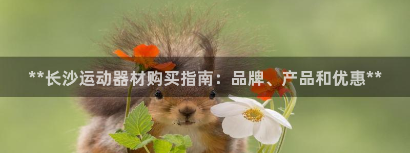 尊龙凯时人生就是搏官