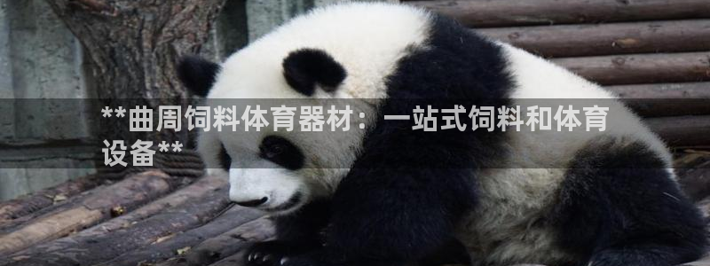 尊龙人生就是博手机版下载