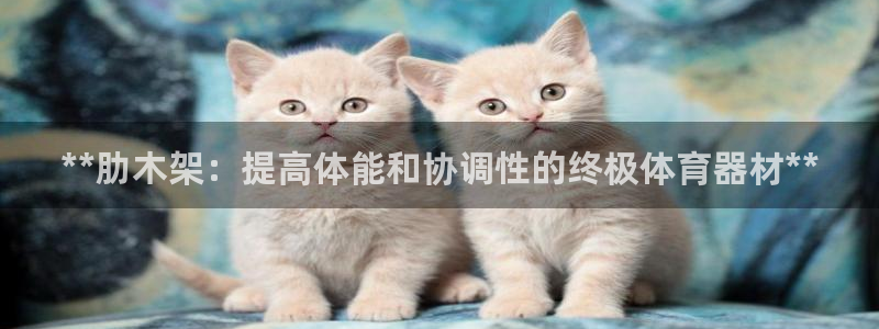 凯时k8娱乐唯一官网