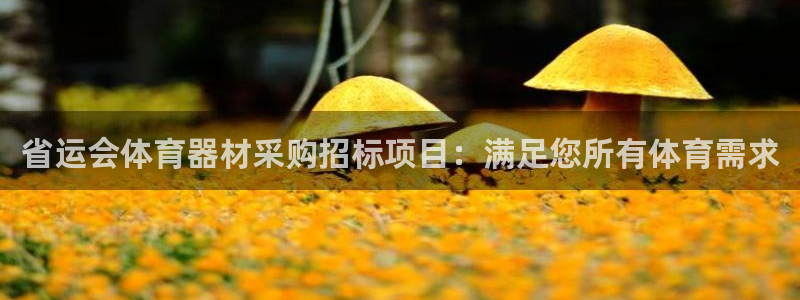 尊龙人生就是博首页入口