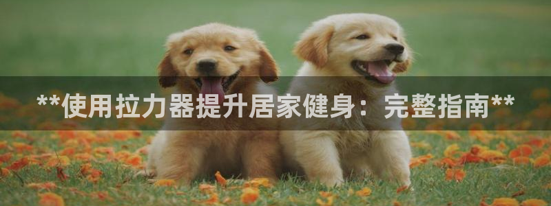 尊龙凯时法充十万返现多少