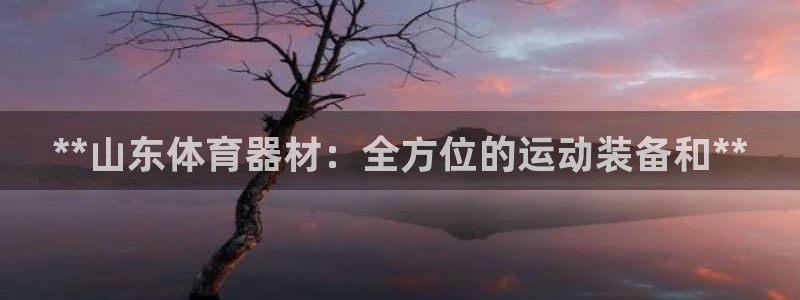 ag旗舰平台尊龙代言
