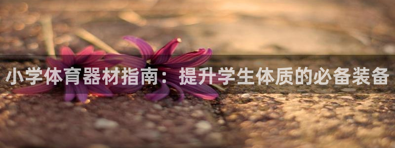 尊龙凯时平台还是万搏好
