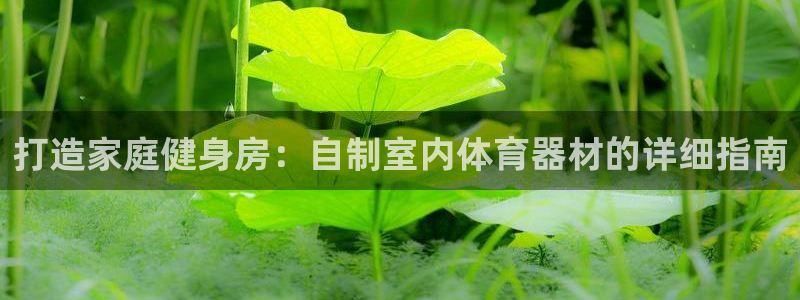 凯时K66最新版本下载