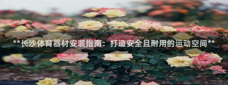 尊龙凯时 人生就是搏!平台
