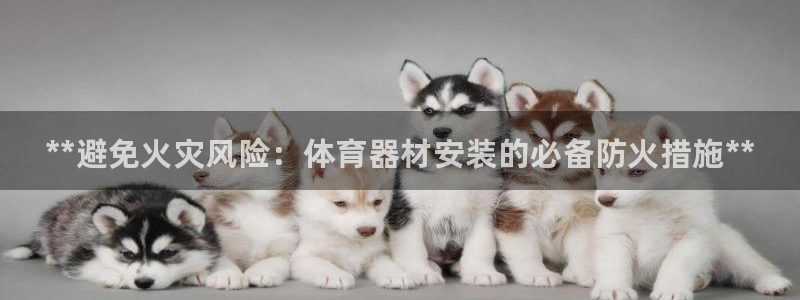 尊龙凯时下载人生就是博：**避免火灾风险：体育器材安装的必备