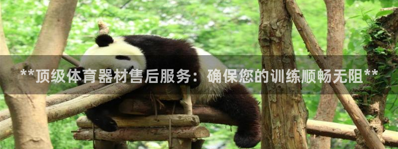 凯时国际app首页登录