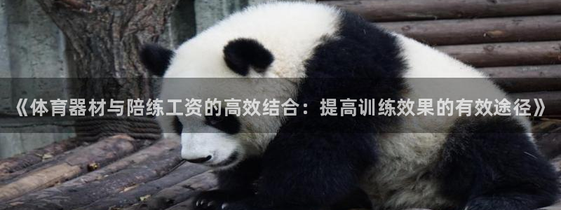 尊龙体育怎么样