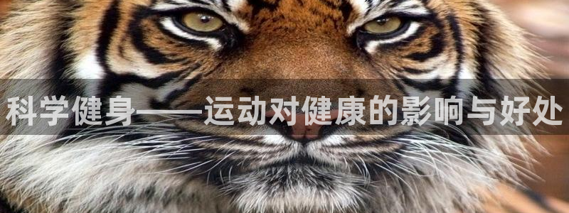 尊龙凯时 - 人生就是搏!：科学健身——运动对健康的影响与好