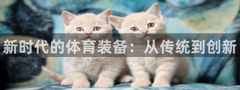 尊龙人生就是博登录：新时代的体育装备：从传统到创新
