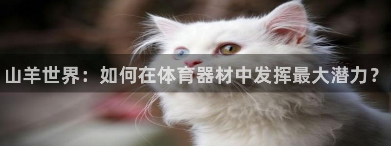 尊龙网址登录官网：山羊世界：如何在体育器材中发挥最大潜力？