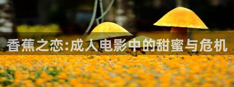 么么哒视频