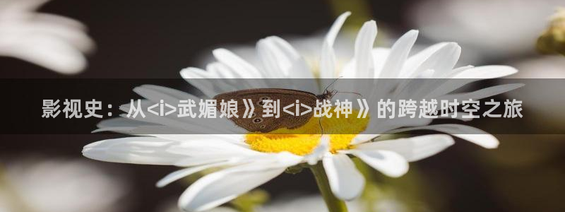 神马午夜影院么么哒