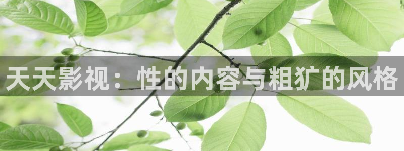 神马午夜影院么么哒