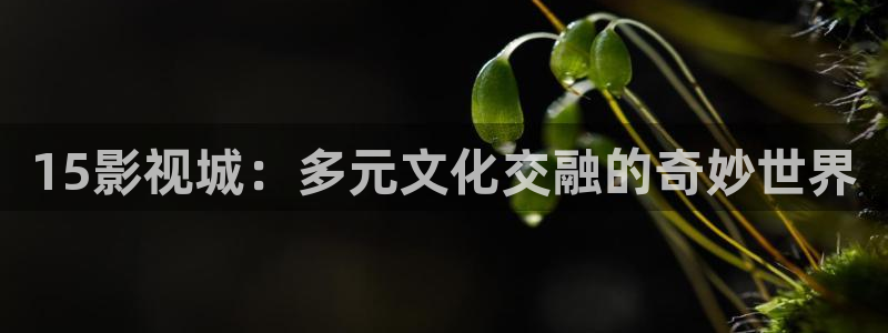 么么哒影院电视剧免费播放
